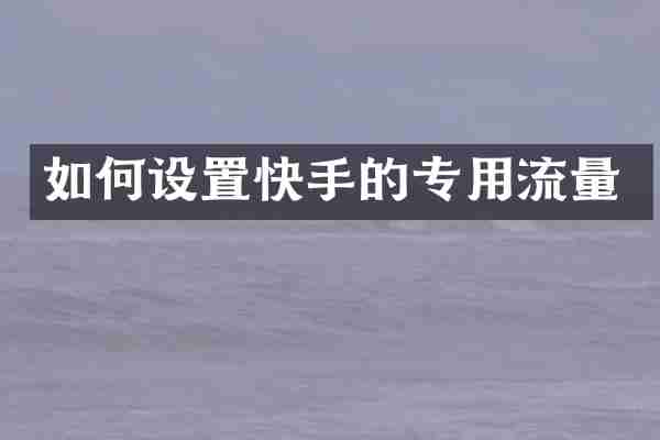 如何设置快手的专用流量