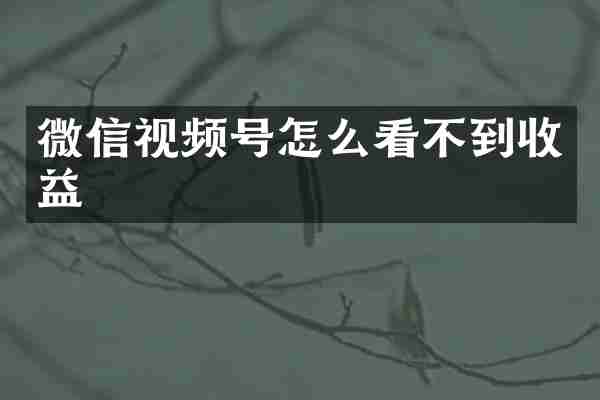 微信视频号怎么看不到收益