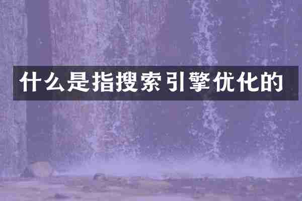 什么是指搜索引擎优化的