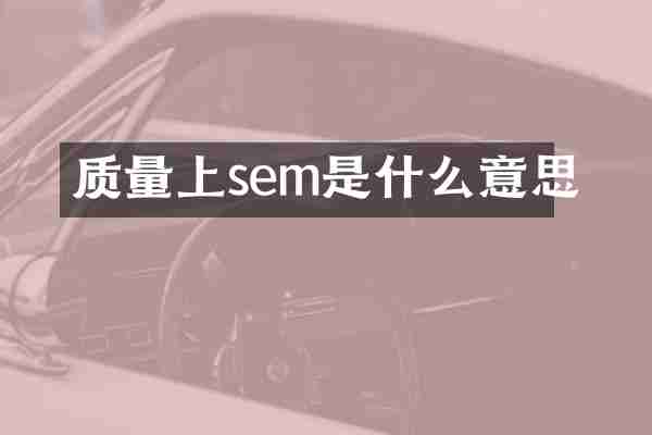 质量上sem是什么意思