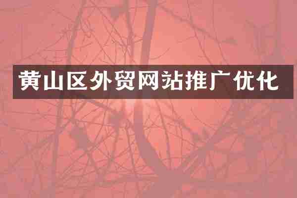 黄山区外贸网站推广优化