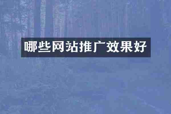 哪些网站推广效果好