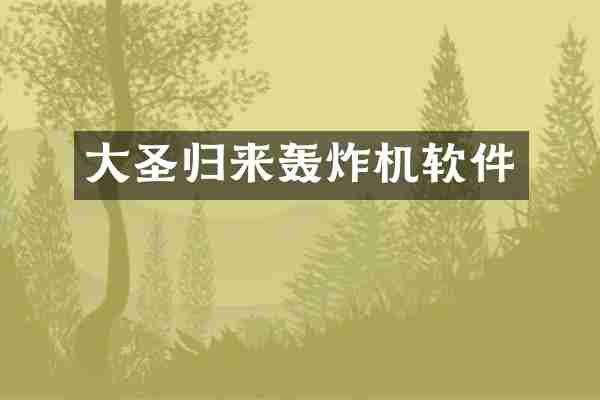 大圣归来轰炸机软件