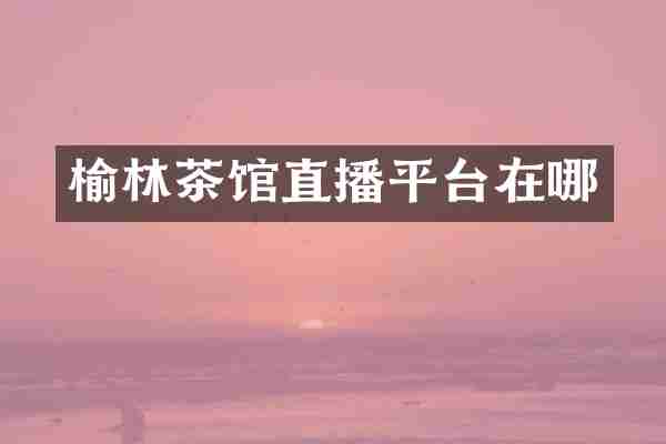 榆林茶馆直播平台在哪