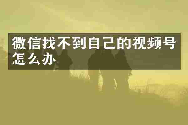 微信找不到自己的视频号怎么办