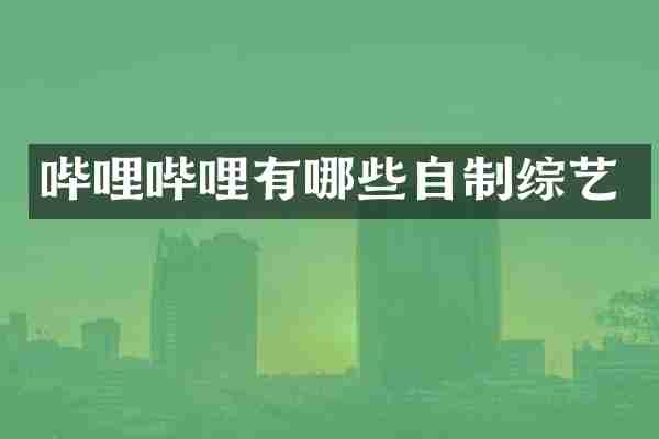 哔哩哔哩有哪些自制综艺