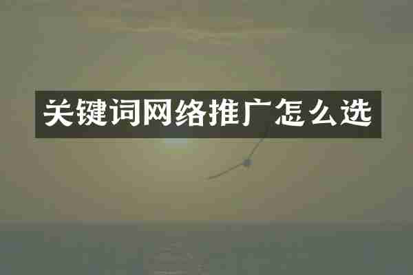 关键词网络推广怎么选