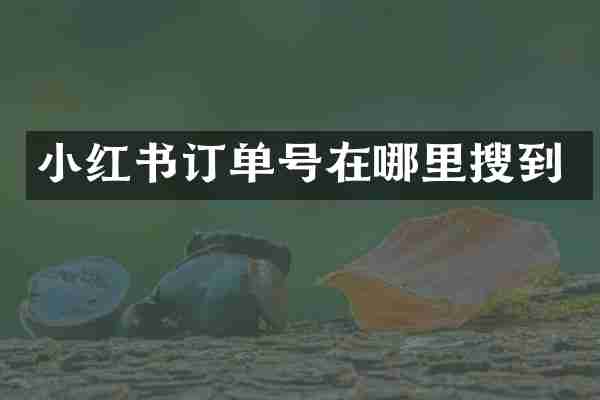 小红书订单号在哪里搜到