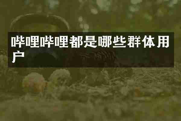 哔哩哔哩都是哪些群体用户