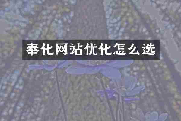 奉化网站优化怎么选