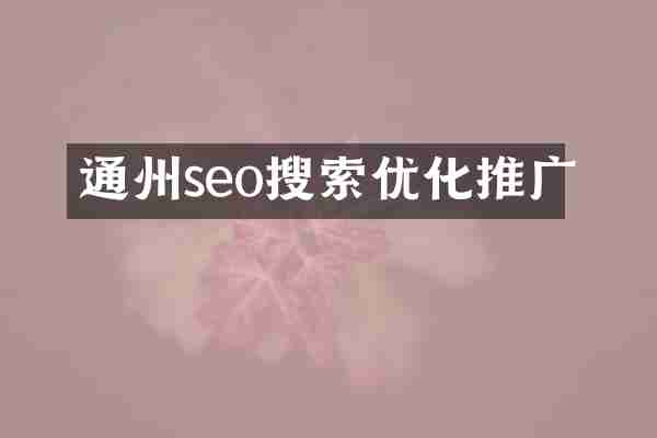 通州seo搜索优化推广