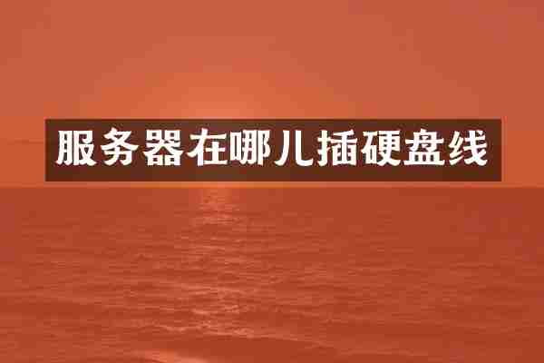 服务器在哪儿插硬盘线