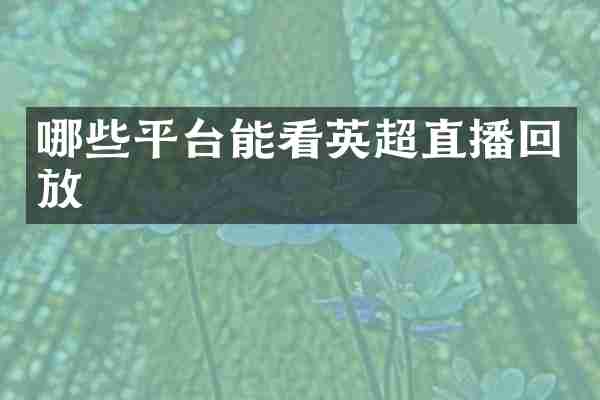 哪些平台能看英超直播回放