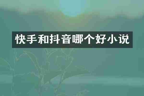 快手和抖音哪个好小说