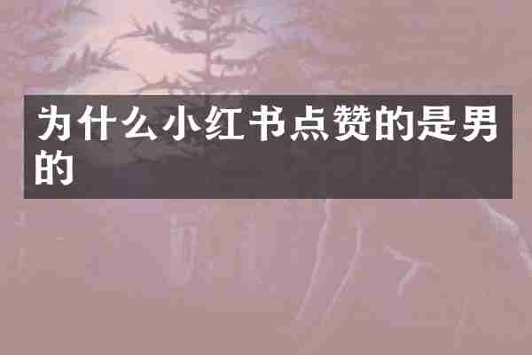 为什么小红书点赞的是男的