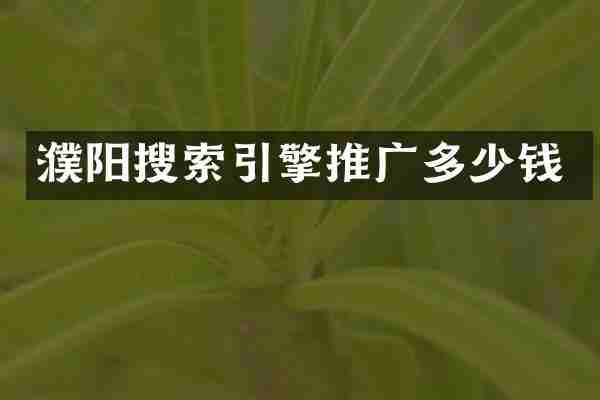 濮阳搜索引擎推广多少钱