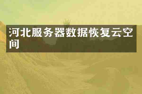 河北服务器数据恢复云空间