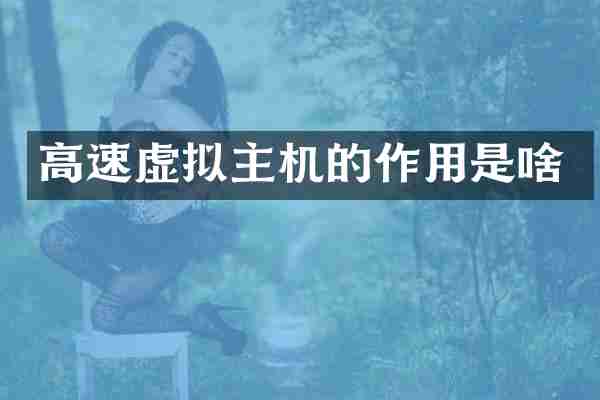 高速虚拟主机的作用是啥