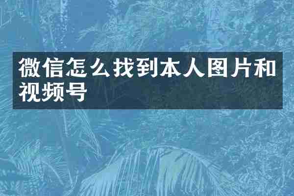 微信怎么找到本人图片和视频号