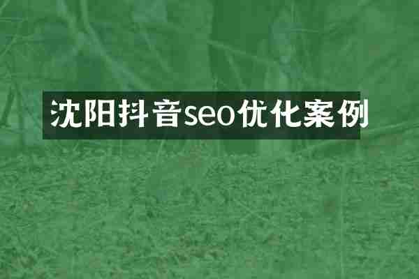 沈阳抖音seo优化案例