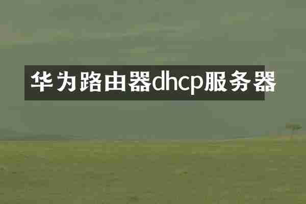 华为路由器dhcp服务器