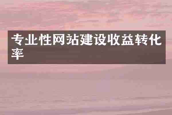 专业性网站建设收益转化率