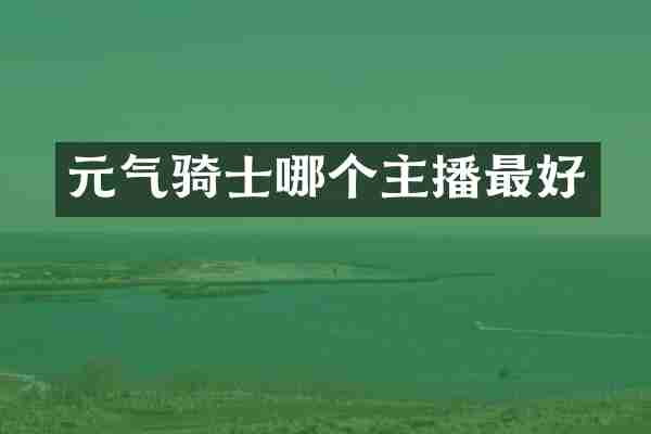 元气骑士哪个主播最好
