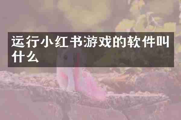 运行小红书游戏的软件叫什么