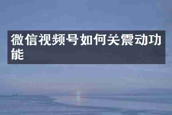 微信视频号如何关震动功能