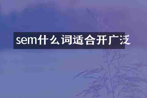 sem什么词适合开广泛