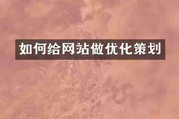 如何给网站做优化策划
