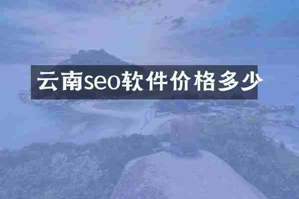 云南seo软件价格多少
