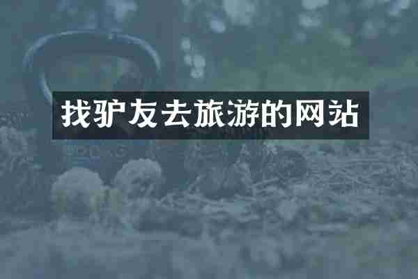 找驴友去旅游的网站
