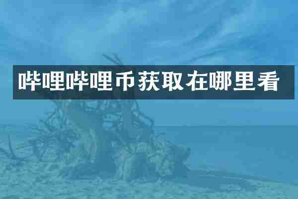 哔哩哔哩币获取在哪里看