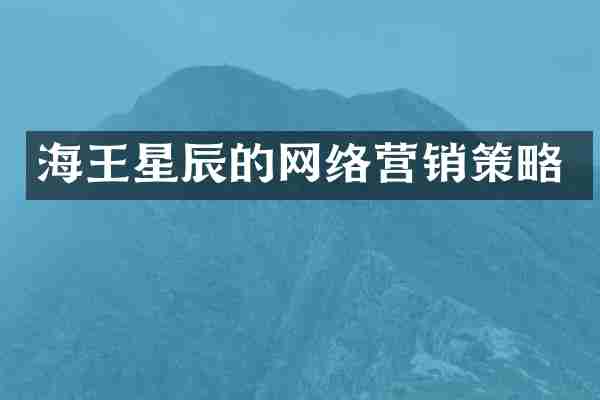 海王星辰的网络营销策略