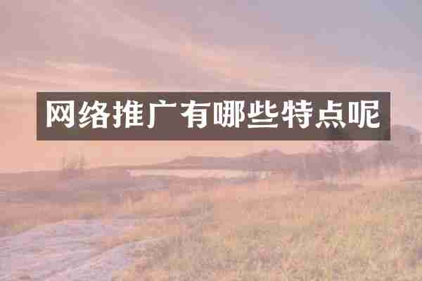网络推广有哪些特点呢