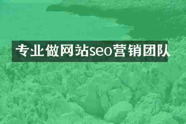 专业做网站seo营销团队