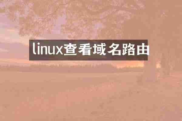linux查看域名路由