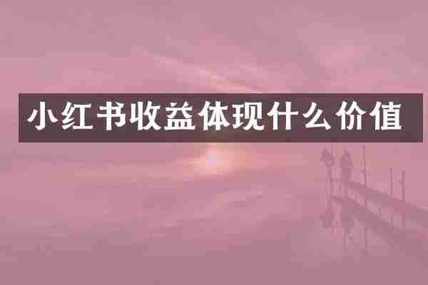 小红书收益体现什么价值