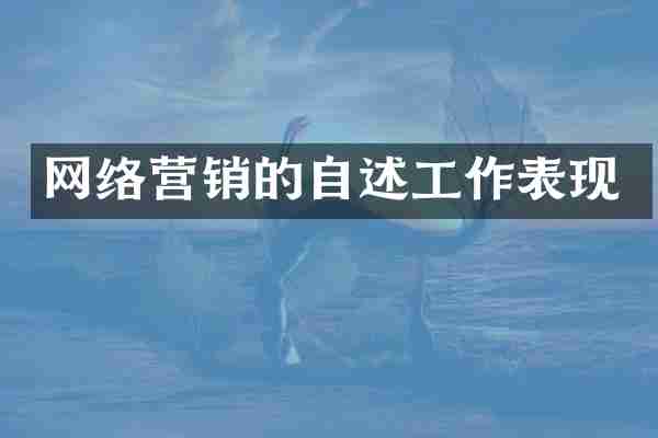 网络营销的自述工作表现