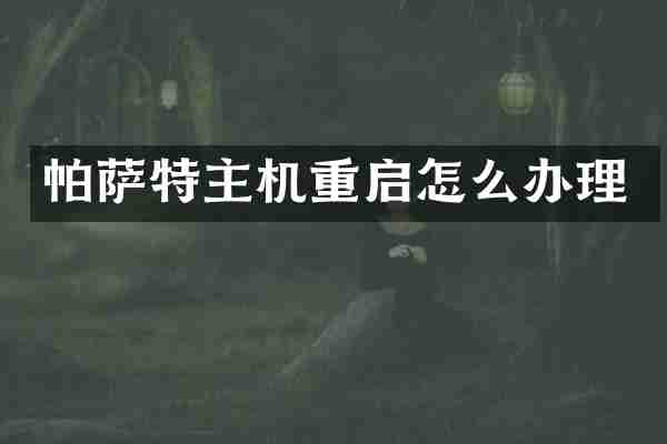 帕萨特主机重启怎么办理