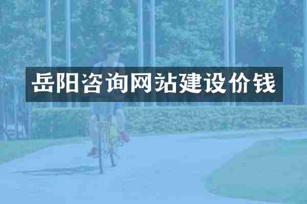 岳阳咨询网站建设价钱