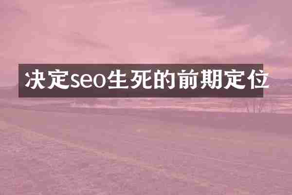 决定seo生死的前期定位