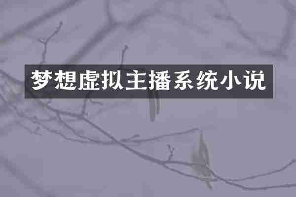 梦想虚拟主播系统小说