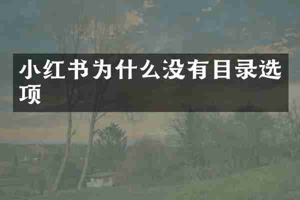 小红书为什么没有目录选项