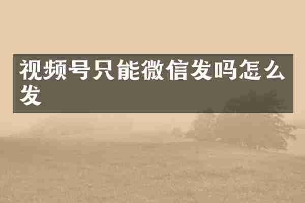 视频号只能微信发吗怎么发