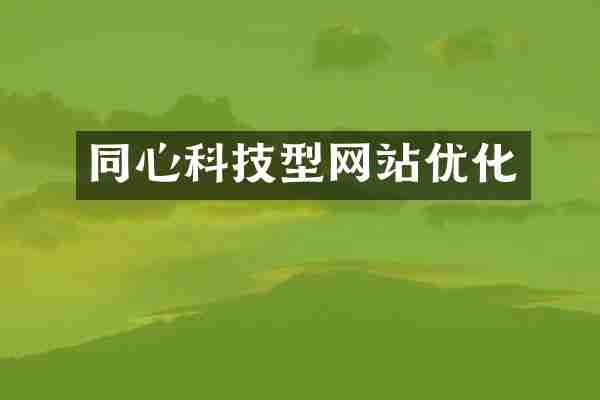 同心科技型网站优化