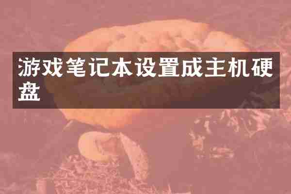 游戏笔记本设置成主机硬盘