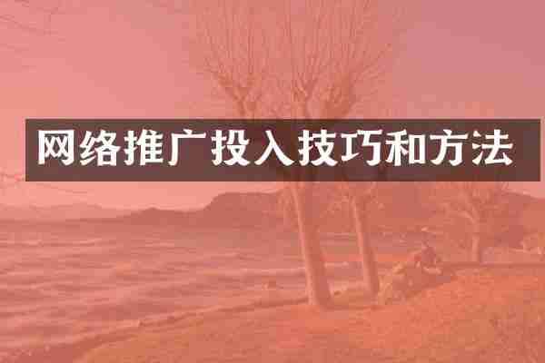 网络推广投入技巧和方法