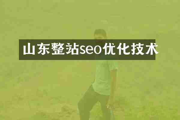 山东整站seo优化技术